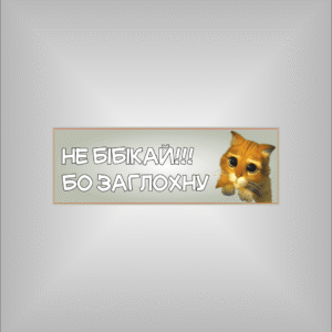 Мем Не бібікай!!! Бо заглохну . на авто