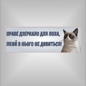 Магніт на авто мем