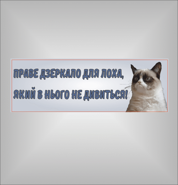 Магніт на авто мем