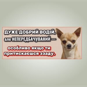 Мем