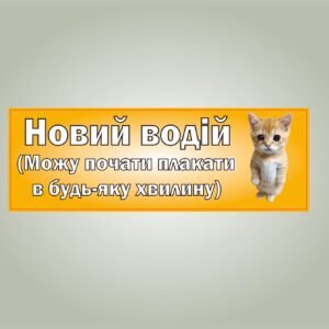 Магнітний мем
