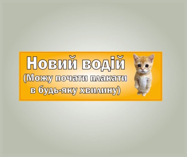 Магнітний мем