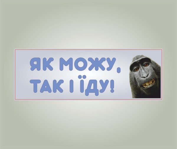 мем